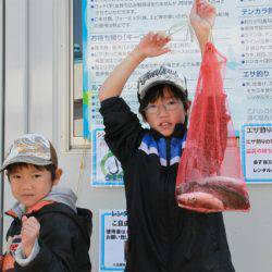としまえんフィッシングエリア 釣果