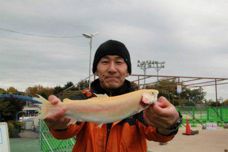 としまえんフィッシングエリア 釣果