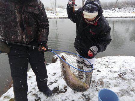 つりぼりあかし 釣果