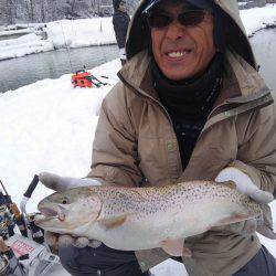 つりぼりあかし 釣果