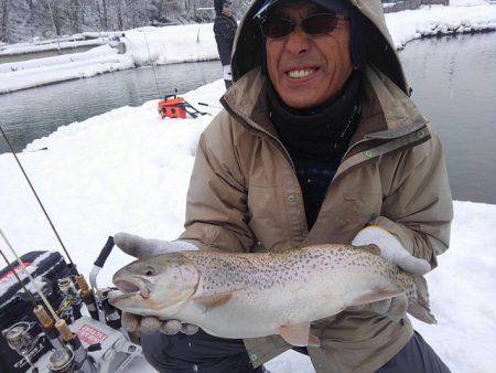 つりぼりあかし 釣果