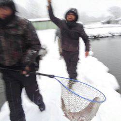 つりぼりあかし 釣果