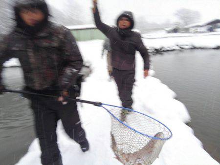 つりぼりあかし 釣果