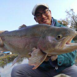 つりぼりあかし 釣果