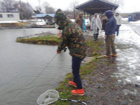つりぼりあかし 釣果