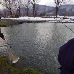 つりぼりあかし 釣果