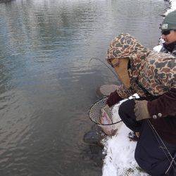 つりぼりあかし 釣果