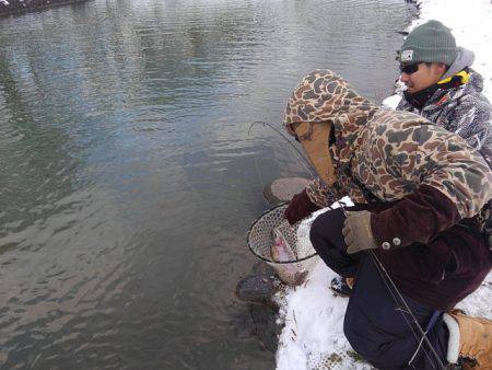 つりぼりあかし 釣果