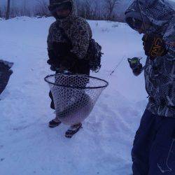 つりぼりあかし 釣果