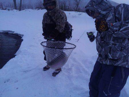 つりぼりあかし 釣果