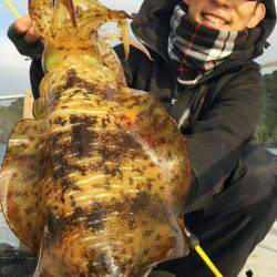 ブルースフィッシングサービス 釣果