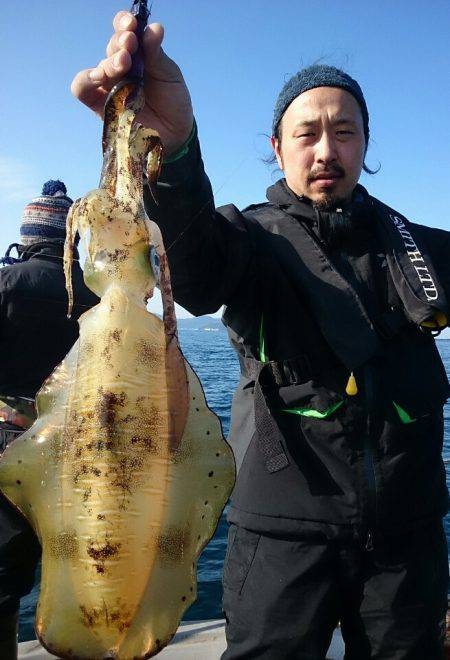 ブルースフィッシングサービス 釣果