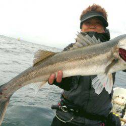 THESEAMAN(ザシーマン) 釣果