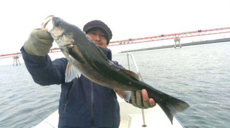 THESEAMAN(ザシーマン) 釣果