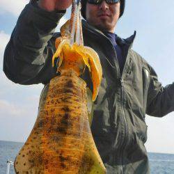 ブルースフィッシングサービス 釣果