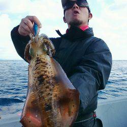 ブルースフィッシングサービス 釣果