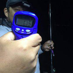 Monster Rush! 釣果