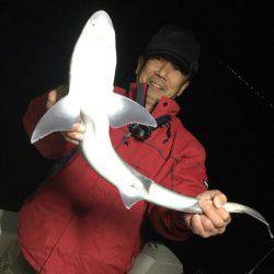 Monster Rush! 釣果