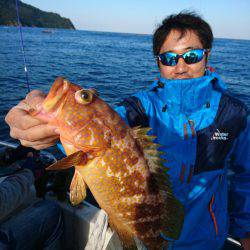 ARCADIAⅡ (アルカディアⅡ) 釣果