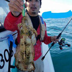 ソルトウォーターガイドフレンズ 釣果