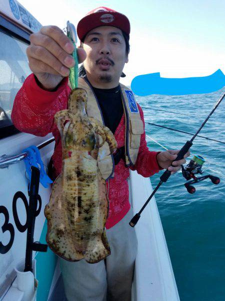 ソルトウォーターガイドフレンズ 釣果