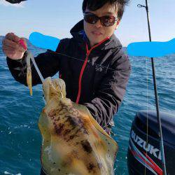 ソルトウォーターガイドフレンズ 釣果