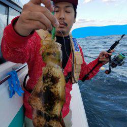 ソルトウォーターガイドフレンズ 釣果