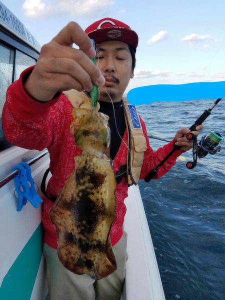 ソルトウォーターガイドフレンズ 釣果