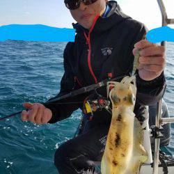 ソルトウォーターガイドフレンズ 釣果