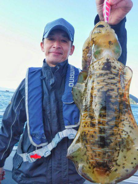 ブルースフィッシングサービス 釣果