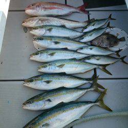 エンペラー 釣果