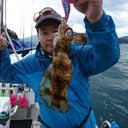 ARCADIAⅡ (アルカディアⅡ) 釣果