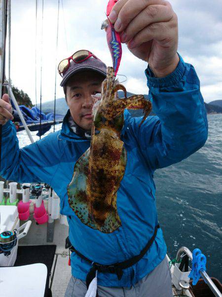 ARCADIAⅡ (アルカディアⅡ) 釣果