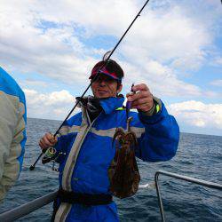 ARCADIAⅡ (アルカディアⅡ) 釣果