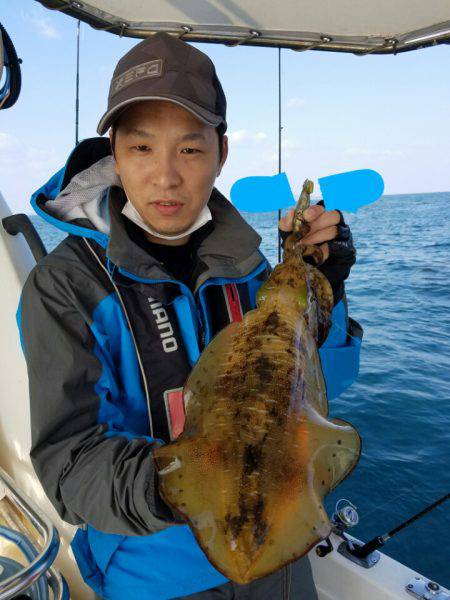 ソルトウォーターガイドフレンズ 釣果