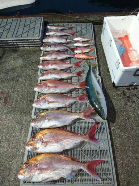 ARCADIAⅡ (アルカディアⅡ) 釣果