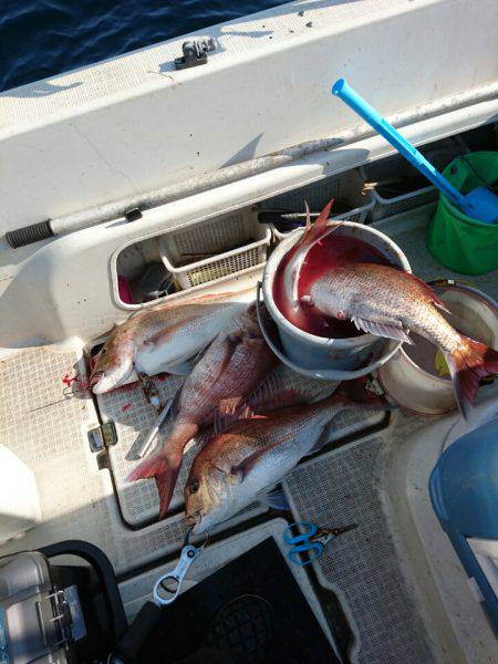 ARCADIAⅡ (アルカディアⅡ) 釣果