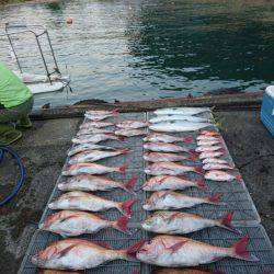 ARCADIAⅡ (アルカディアⅡ) 釣果