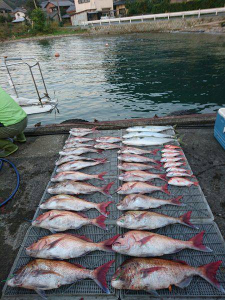 ARCADIAⅡ (アルカディアⅡ) 釣果