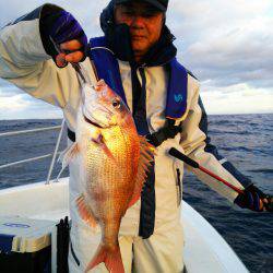 ブルドック 釣果