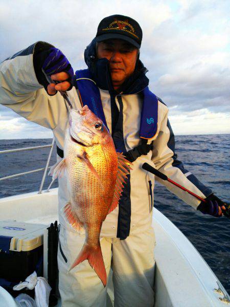 ブルドック 釣果