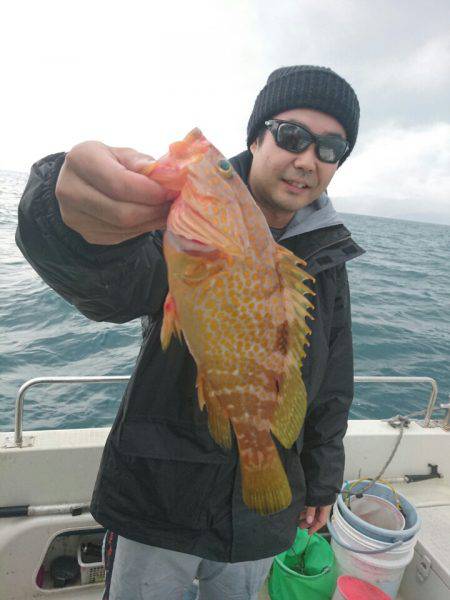 ARCADIAⅡ (アルカディアⅡ) 釣果