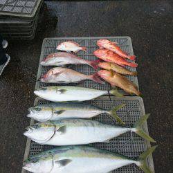 ARCADIAⅡ (アルカディアⅡ) 釣果