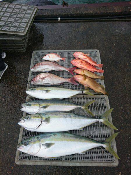 ARCADIAⅡ (アルカディアⅡ) 釣果