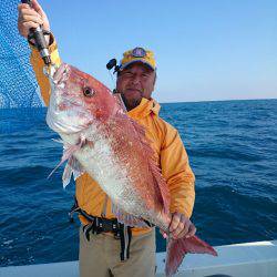 エンペラー 釣果