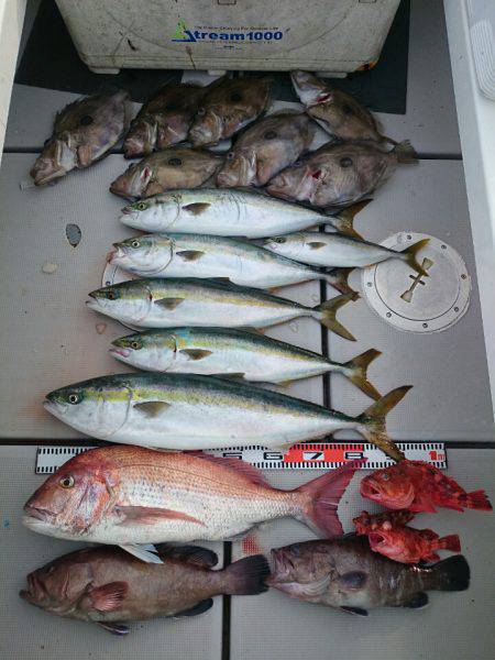 エンペラー 釣果