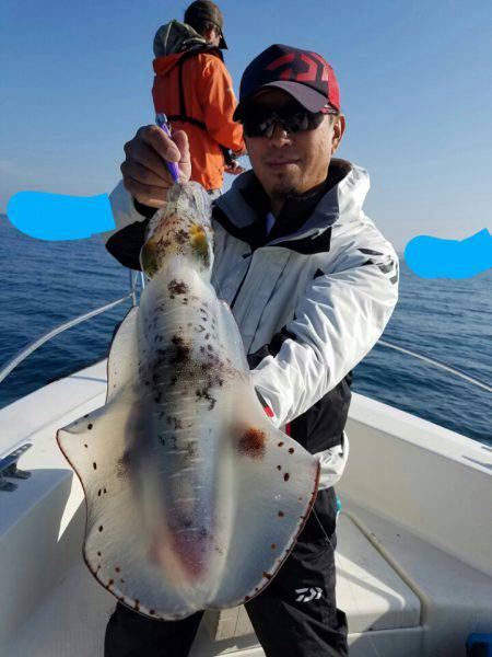 ソルトウォーターガイドフレンズ 釣果