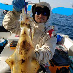 ソルトウォーターガイドフレンズ 釣果