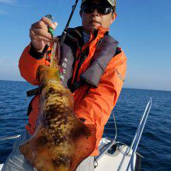 ソルトウォーターガイドフレンズ 釣果