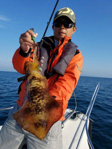 ソルトウォーターガイドフレンズ 釣果